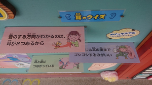 Kuizu Kuizu