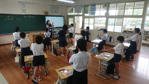 Set05082 Set05082
