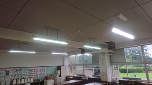 Photo_3