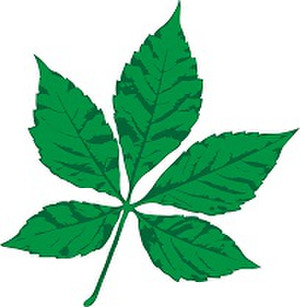 Leaf0692