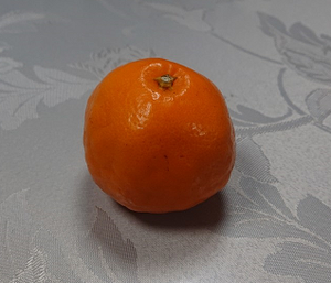 Photo_2