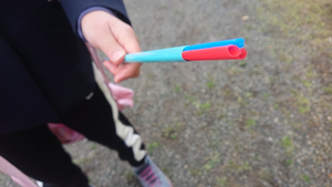 Photo_2